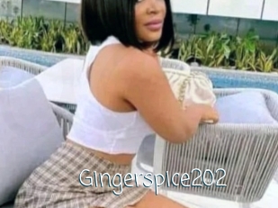 Gingerspice202
