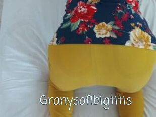 Granysofibigtitis