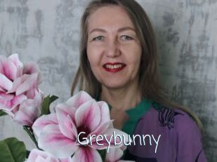 Greybunny