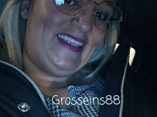 Grosseins88