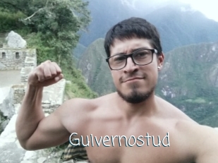 guivernostud Adult o Porn