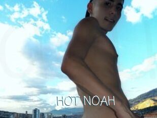 HOT_NOAH