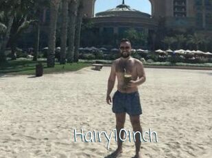 Hairy10inch