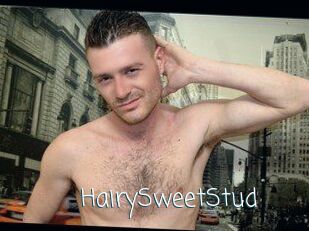 HairySweetStud