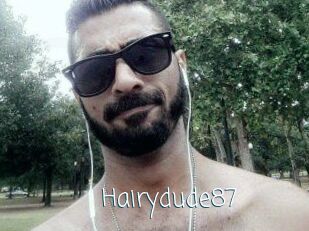 Hairydude87