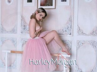 HarleyMorgan