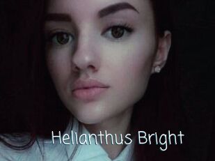Helianthus_Bright