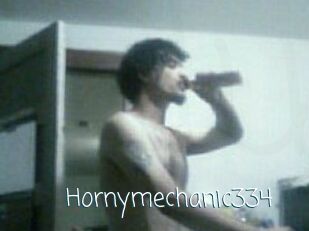 Hornymechanic334