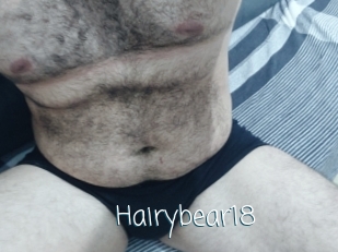 Hairybear18