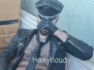 Hairycloudy