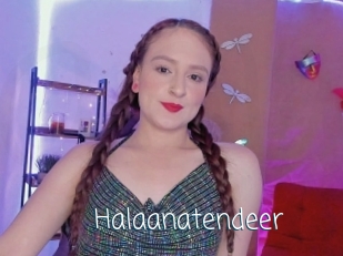 Halaanatendeer