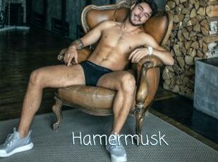 Hamermusk