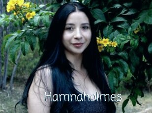 Hamnaholmes