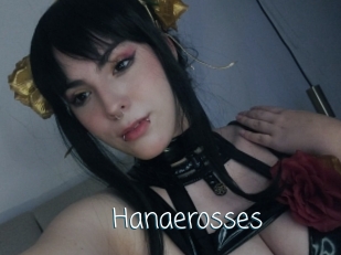 Hanaerosses