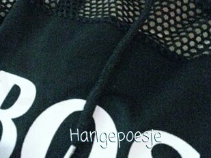 Harigepoesje