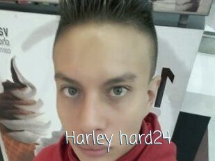Harley_hard24
