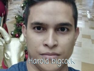 Harold_bigcock
