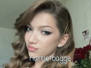 Harrietbagge