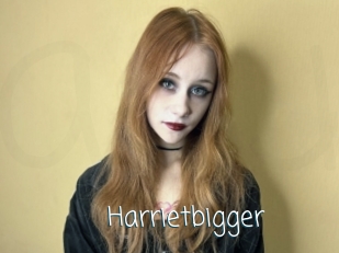 Harrietbigger