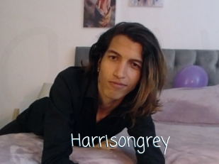 Harrisongrey