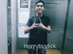 Harrybigdick
