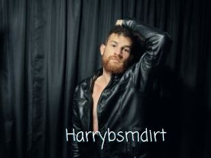 Harrybsmdirt