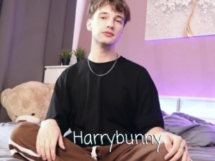 Harrybunny