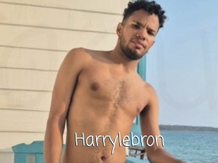 Harrylebron