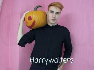 Harrywalters