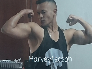 Harveytecson