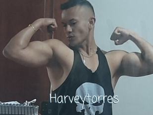 Harveytorres