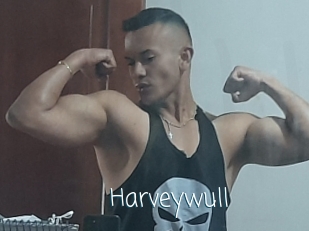 Harveywull