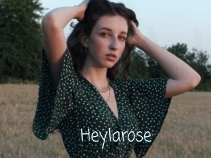 Heylarose