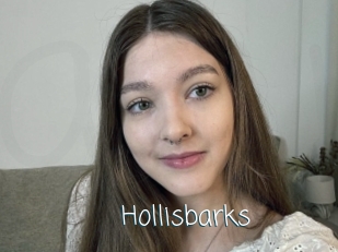 Hollisbarks