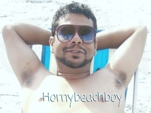 Hornybeachboy