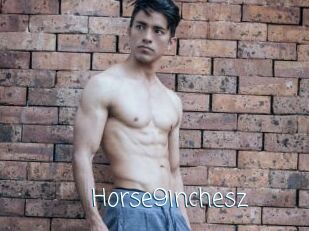 Horse9inchesz