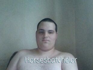 Horsesbatchelor