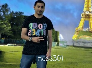 Hoss301