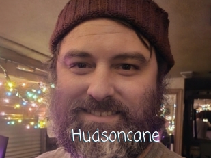 Hudsoncane