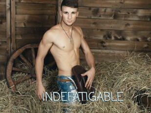 INDEFATIGABLE
