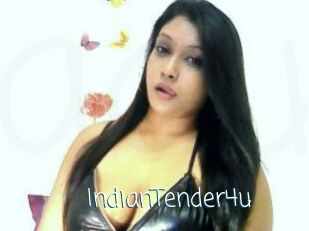 IndianTender4u
