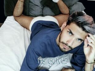 Its_gelviz