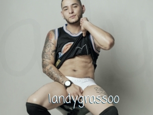 Iandygrassoo