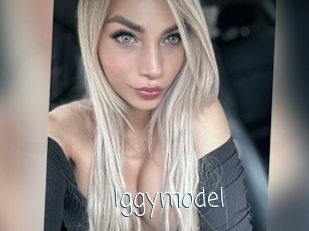 Iggymodel