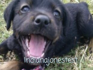 Indianajonestest