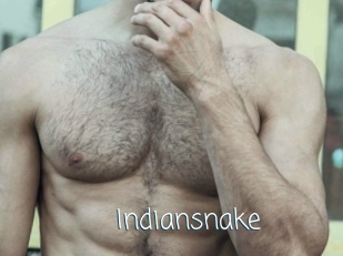 Indiansnake