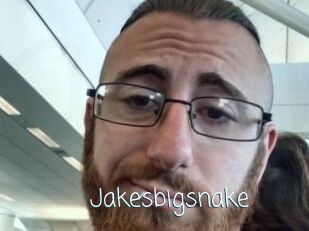 Jakesbigsnake