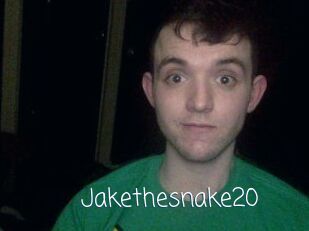 Jakethesnake20