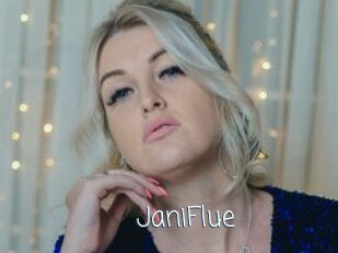 JaniFlue