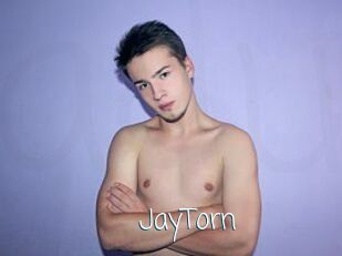 JayTorn Adult o Porn